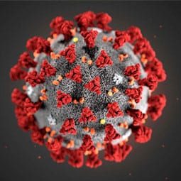 Texas governor urges residents to stay home amid record number of new coronavirus cases