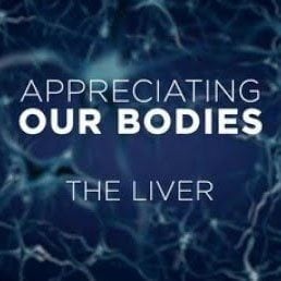 Appreciating Our Bodies – The Liver 4 Appreciating Our Bodies – The Liver