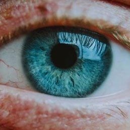 The Good Patient