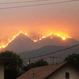 Israeli, Californian Firefighters Become Band Of Brothers 4 Israeli, Californian Firefighters Become Band Of Brothers