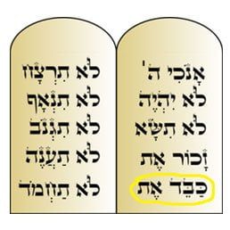 Do You Give Your Father the Better Lulav and Esrog?