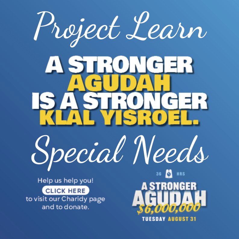 Project Learn for Special Needs from Agudas Yisroel 1