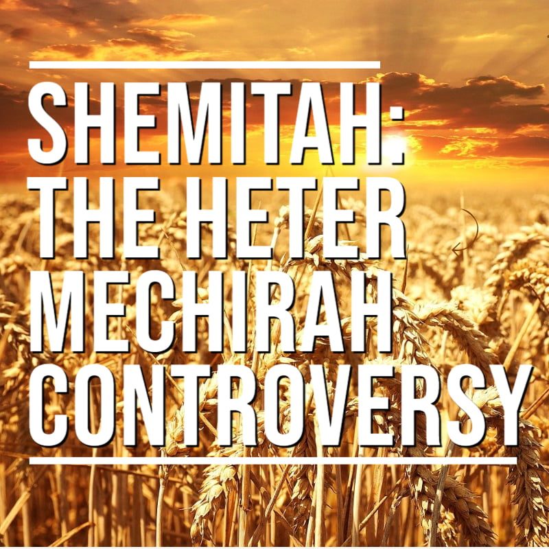 Shemitah: The Heter Mechirah Controversy: By Rabbi Yirmiyahu Kaganoff 