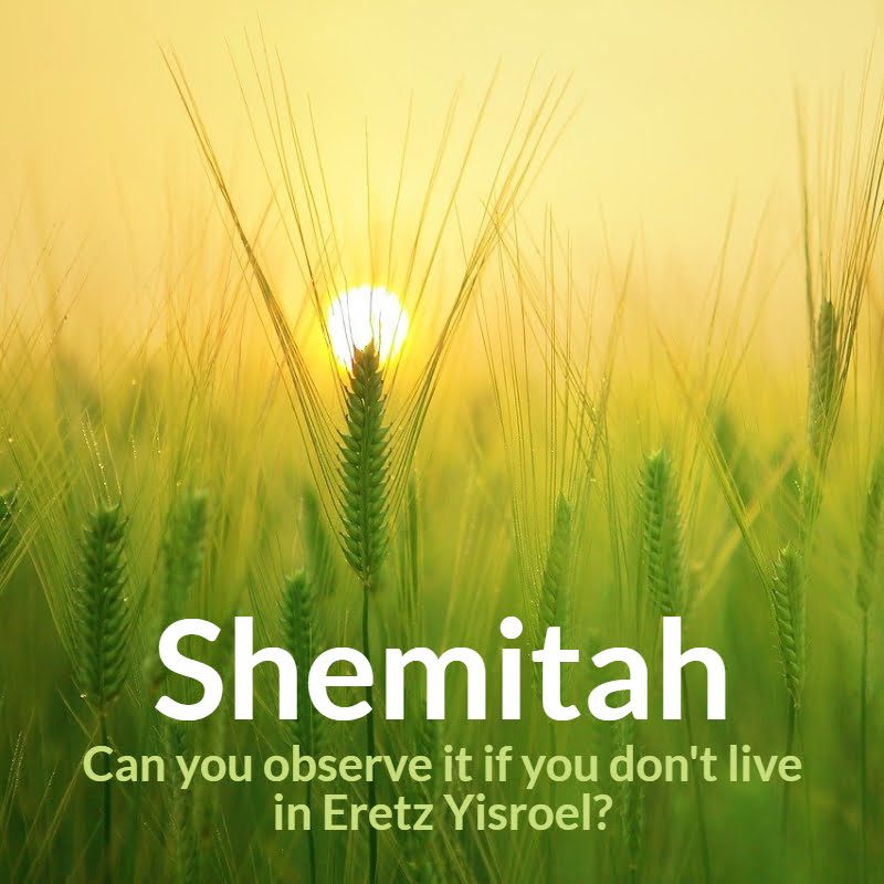 Halacha Headlines: Shemitah: Can You Observe It If You Don't Live In Eretz Yisroel?