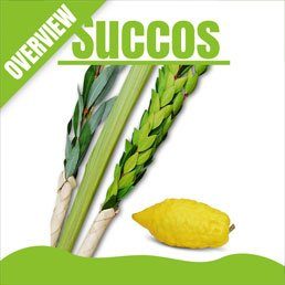 A General Overview of Succos