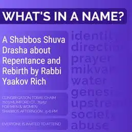 What’s In A Name: Shabbos Shuva Drasha