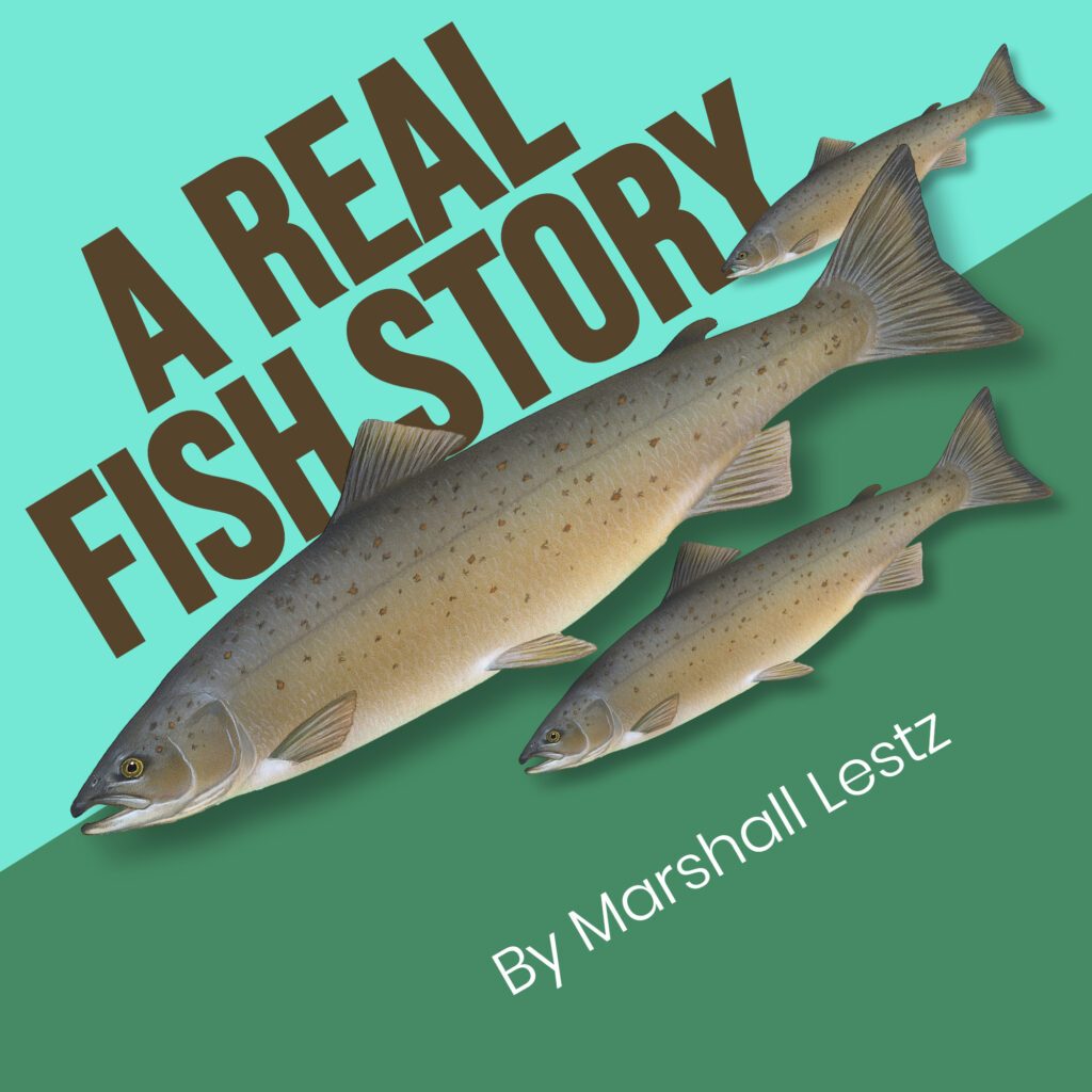 Rebuilding Series: A Real Fish Story. By Marshall Lestz