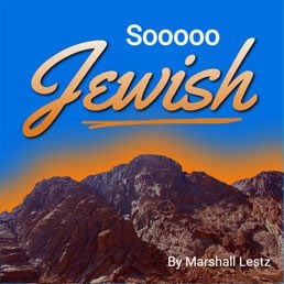 Rebuilding Series: Soooo Jewish. By Marshall Lestz