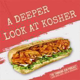 The Thinking Jew Podcast: Ep. 67 A Deeper Look at Kosher. By Rabbi Moshe Segal