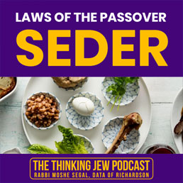 The Thinking Jew Podcast: Ep. 70 Laws of the Passover Seder