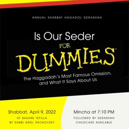 Is Our Seder for Dummies? The Haggadah’s Most Famous Omission and What It Says About Us.