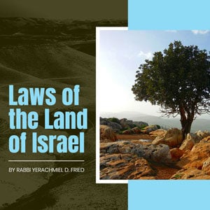 Laws of the Land of Israel by Rabbi Yerachmiel D. Fried 8 Laws of the Land of Israel by Rabbi Yerachmiel D. Fried