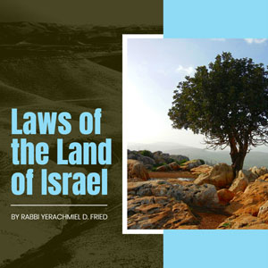 Laws of the Land of Israel by Rabbi Yerachmiel D. Fried