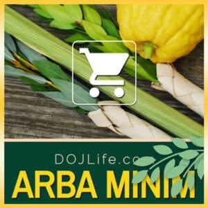 🌿 Get Ready for Sukkos with Fresh Arba Minim from DOJLife.com! 🌿 9 🌿 Get Ready for Sukkos with Fresh Arba Minim from DOJLife.com! 🌿
