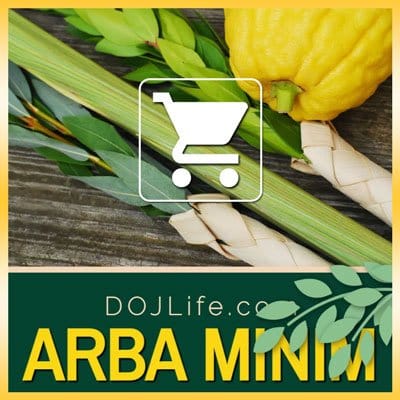 🌿 Get Ready for Sukkos with Fresh Arba Minim from DOJLife.com! 🌿