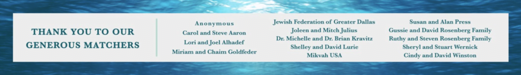 Help Support Mikvah Israel 1