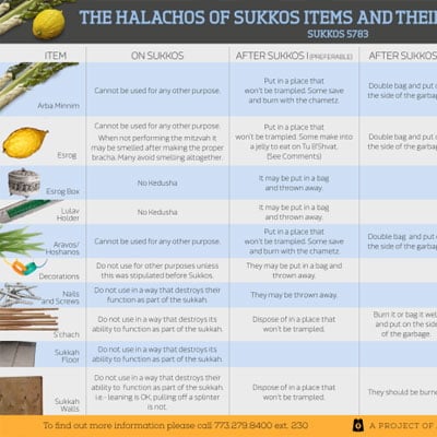 Proper Disposal of Succos Items