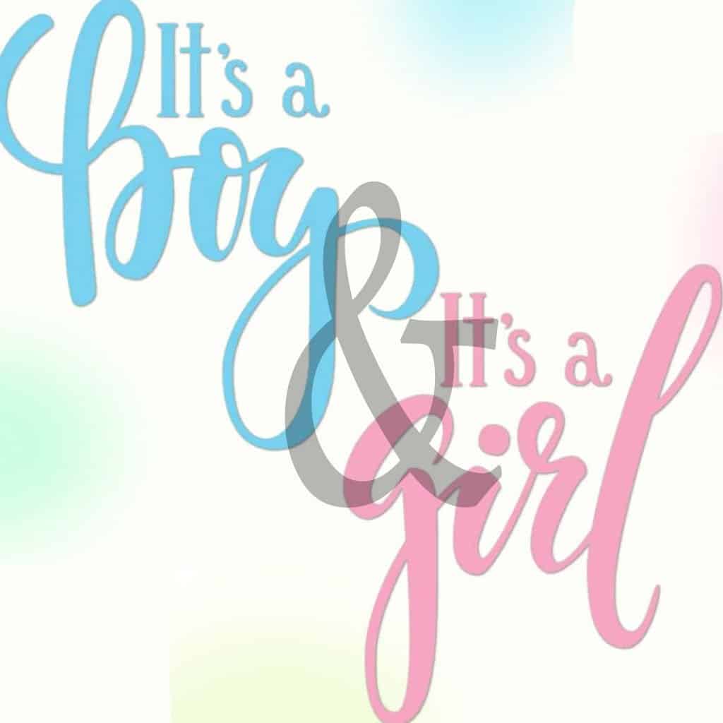Mazel Tov to Rabbi & Rebbetzin Feigenbaum on the birth of twins, a granddaughter, and a grandson.