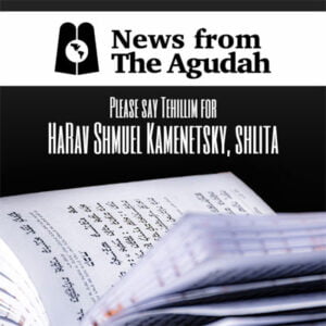 Please say Tehillim for HaRav Shmuel Kamenetsky, shlita