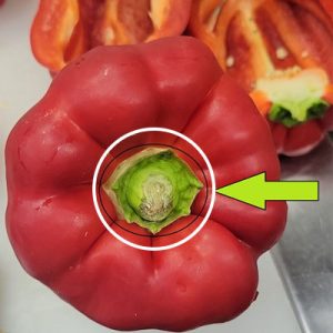 STAR-K ALERT: Infestation in Peppers