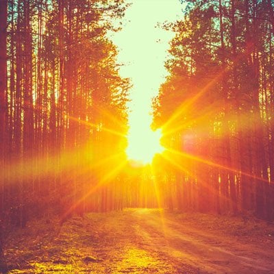 Strengthening Our Bitachon – Trust – In Hashem