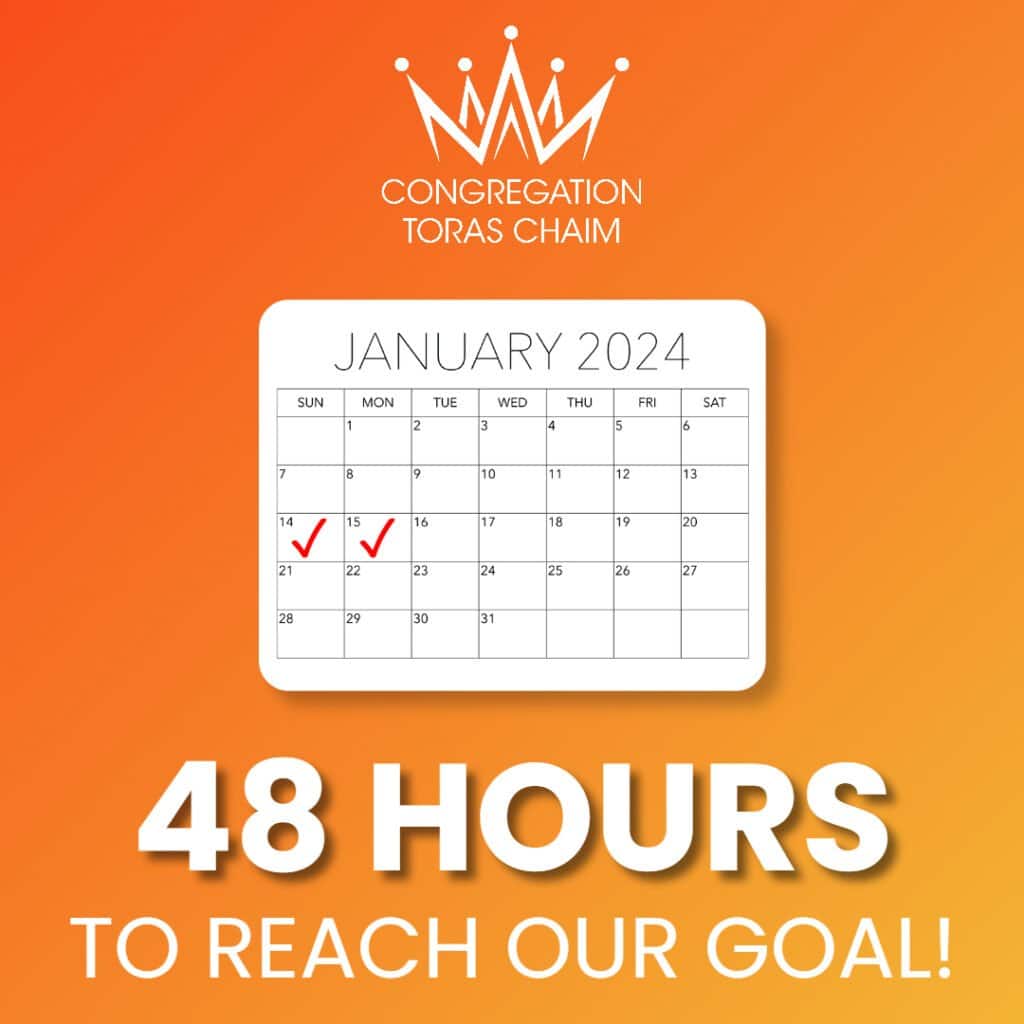 We Are Live! 48 Hours to Reach Our Goal!