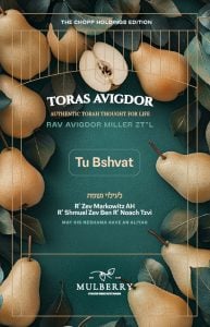 Tu B’Shvat with Rav Miller 5785