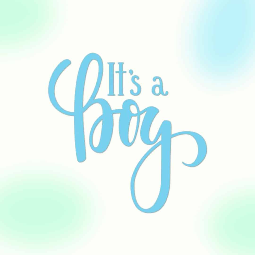 Boy