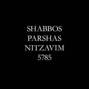 Shabbos, Parshas Nitzavim 5785