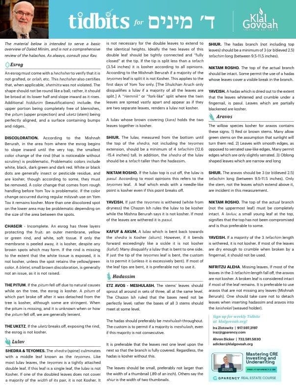 Tidbits on Arba Minim